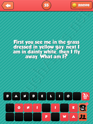 Riddle Me That Level 55 Answer
