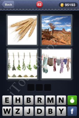 4 Pics 1 Word Answers: Level 83