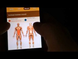 All-In Fitness App Review