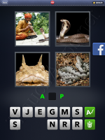 4 Pics 1 Word Answers: Level 2906
