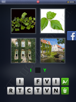 4 Pics 1 Word Answers: Level 2907