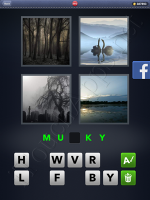 4 Pics 1 Word Answers: Level 2912
