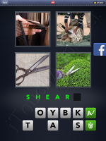 4 Pics 1 Word Answers: Level 2943
