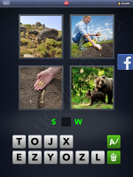 4 Pics 1 Word Answers: Level 2981