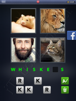 4 Pics 1 Word Answers: Level 3040