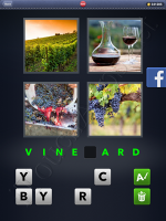 4 Pics 1 Word Answers: Level 3045