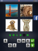 4 Pics 1 Word Answers: Level 3082