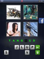 4 Pics 1 Word Answers: Level 3104