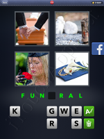 4 Pics 1 Word Answers: Level 3114